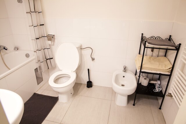 スペーシャス  2  ベッドルーム  アパートメント  ウィズ ナイス テラス