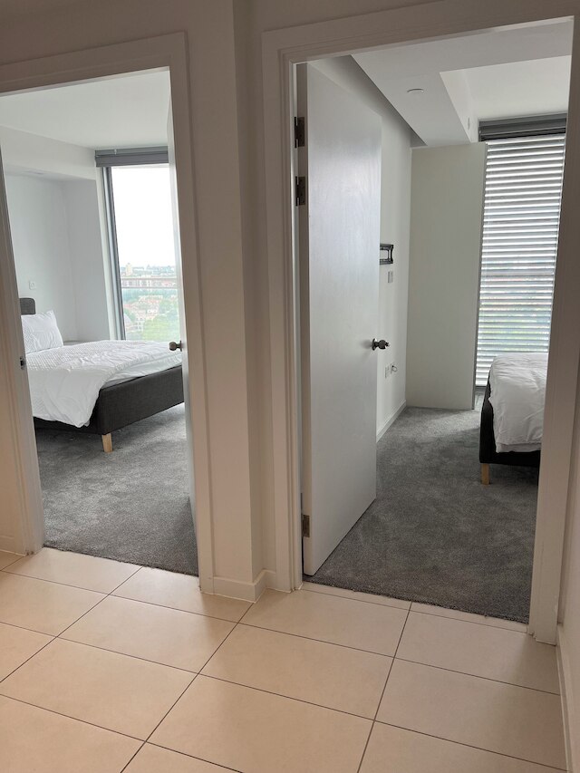 ディライトフリー スペーシャス ブライト  2ベッドルーム