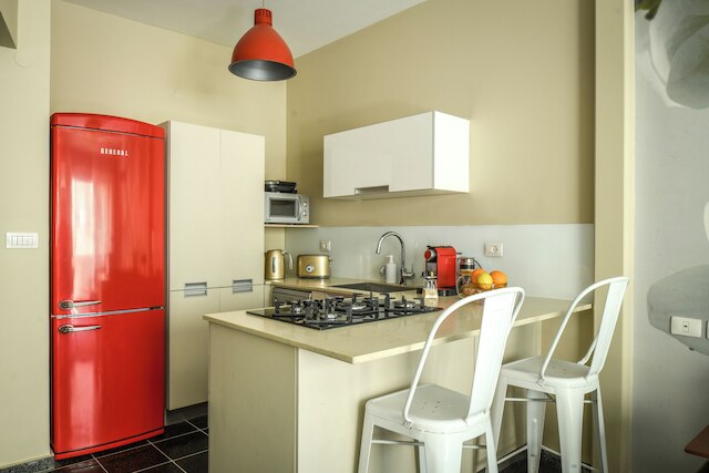 ホワイト・ブロッサム1BRアパート近くディゼンゴフCTR