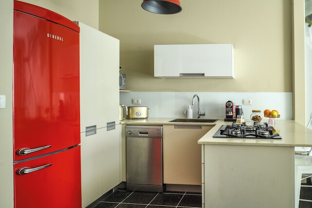 ホワイト・ブロッサム1BRアパート近くディゼンゴフCTR