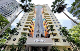 コリウー・オーチャード