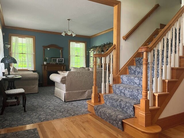 ウッズソング アカーズの宿