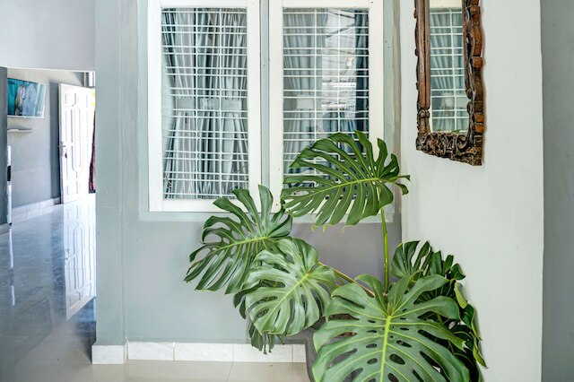 ホテル O スルタン ホームステイ シャリア 2