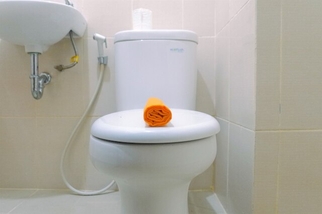 シーニック スタジオ  アパートメント  アット ベール ヒンギル