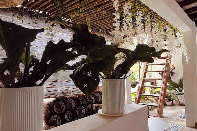 ブレンマリエル ツーリスト イン エル ニド パラワン