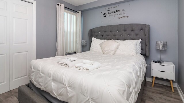 チェイシング アドベンチャーズ