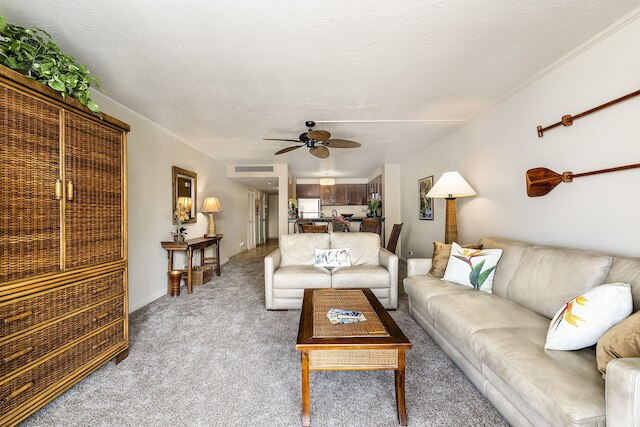 コナ バイ ザ シー