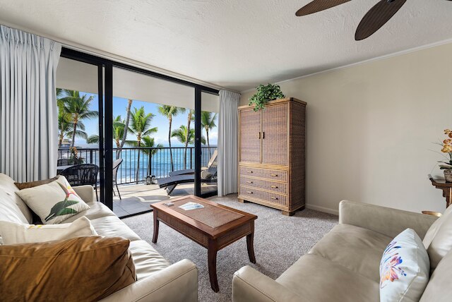 コナ バイ ザ シー