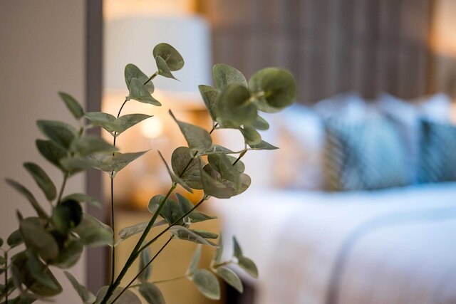 マーブル アーチ スイート 2 ホステッド バイ スイートステイ