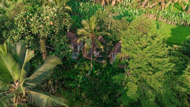 セイクレッド キャニオン ウブド by GenuineHost