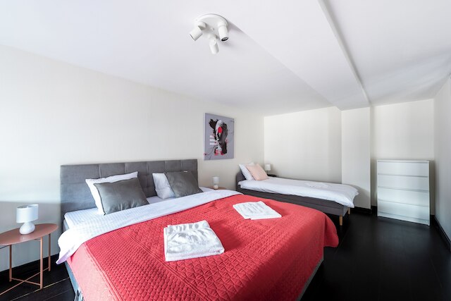 クリジコバストリートの豪華な家族用アパート