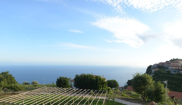 アンティキオルティデルソーレ