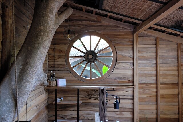 ルーツツリーハウス