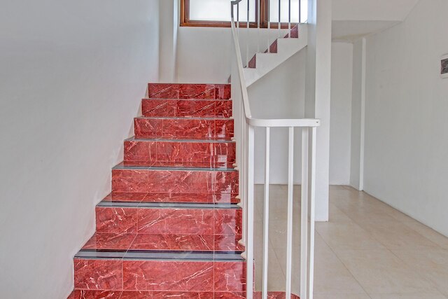 コレクション O 91629 ンダレム アブラマ