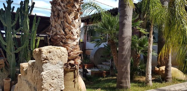 ハウス オーランド