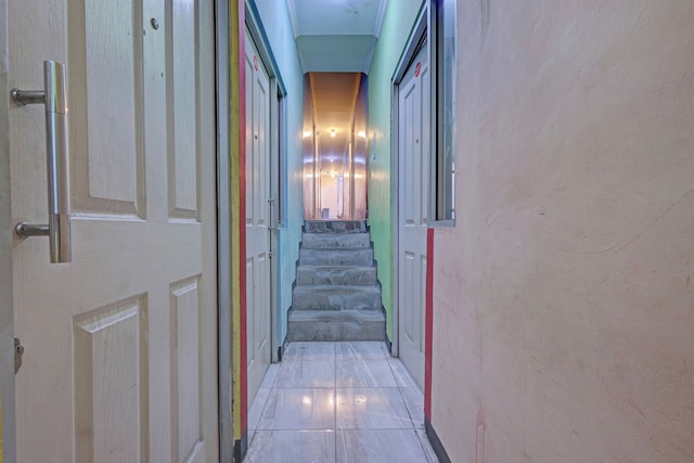 スーパー OYO ライフ 92877 ホテル レインボー 7296