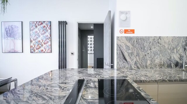 1 ベッド ロフト アパートメント フリー パーキング セントラル