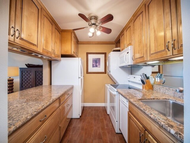 カマオレビーチロワイヤル 307 1 ベッドルーム コンド