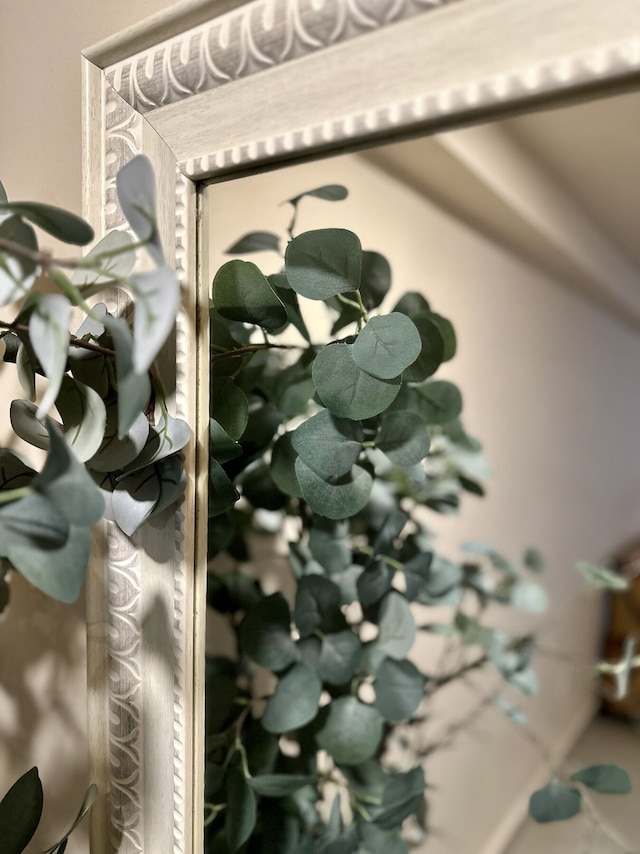 パチャマヤ ホリスティック ウェルネス & スパ