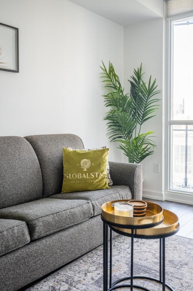 トロント 21 アイスボート ター 48 フロア