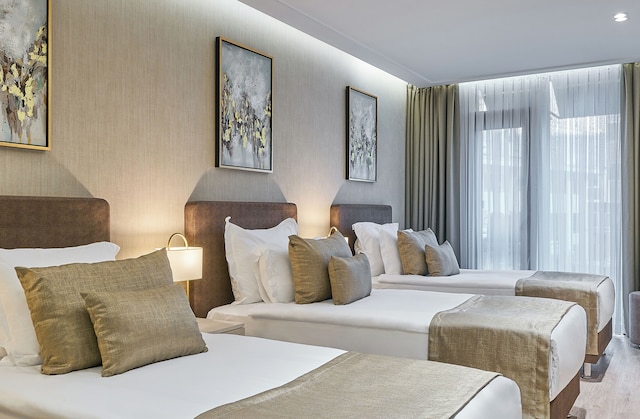 レイエリンホテルイスタンブールオールドシティスペシャルカテゴリー