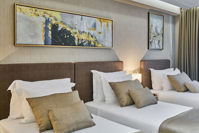 レイエリンホテルイスタンブールオールドシティスペシャルカテゴリー