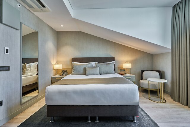 レイエリンホテルイスタンブールオールドシティスペシャルカテゴリー