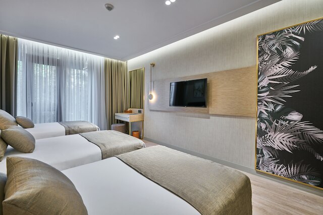 レイエリンホテルイスタンブールオールドシティスペシャルカテゴリー