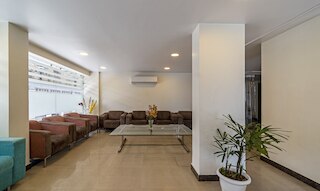 ツリーボー プレミアム ローズ マロウ