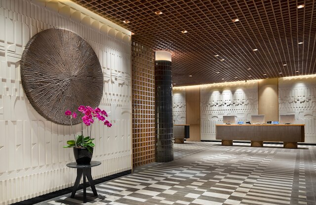 ゴールデンヒルバイゴールデンチューリップ