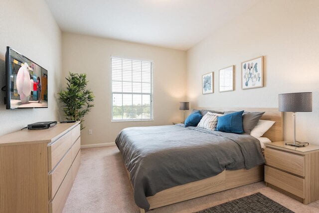 セントラル エレガンス - スペーシャス ビューティフリー デコール コンドミニアム