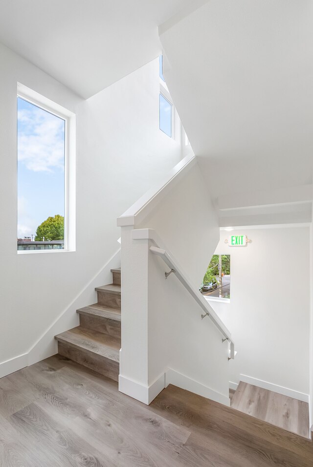 スタッグスイートスイート