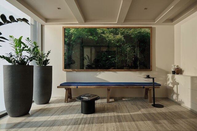 ビジョンオモニア