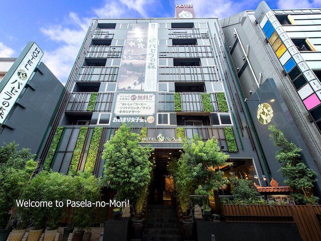 ホテル パセラの森 横浜関内
