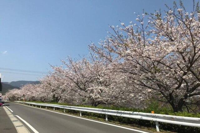 ビジネスホテル河上