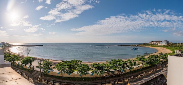 フープ イン (後面有灣)