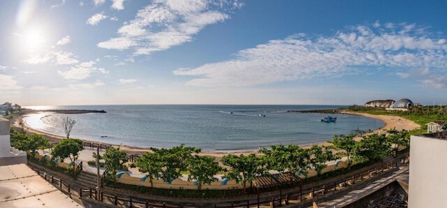 フープ イン (後面有灣)