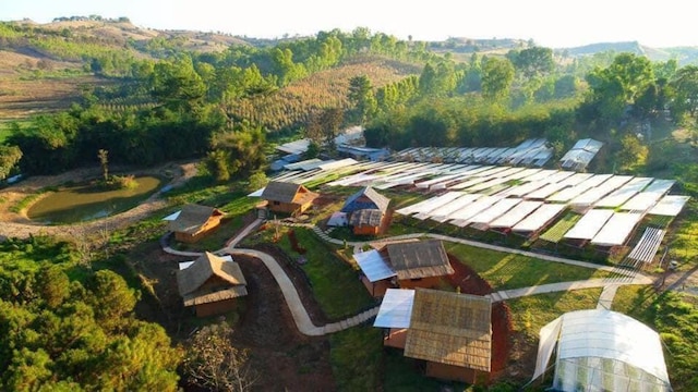 アンクル トムズ キャビン アット カオコー