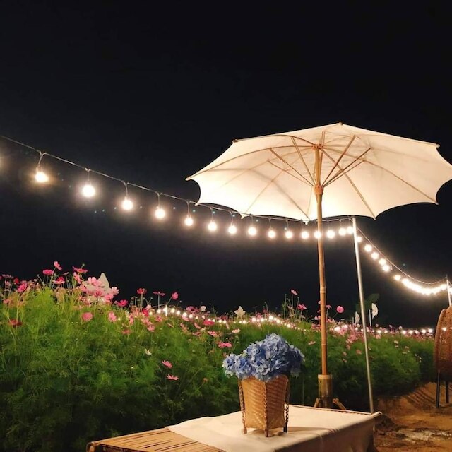 チャヤパ ホテル