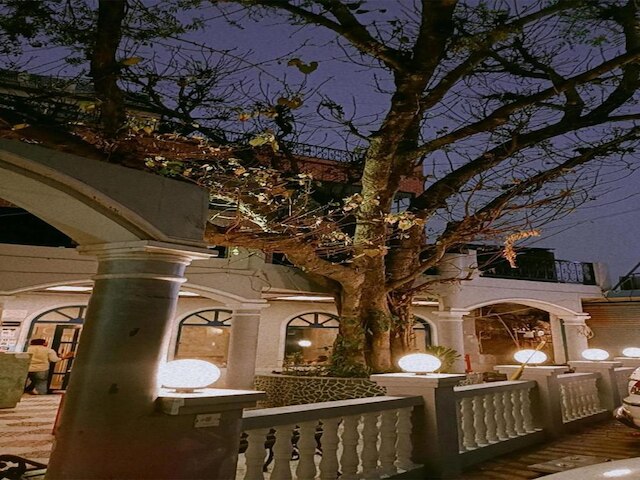 マヤ ホテル & レストラン