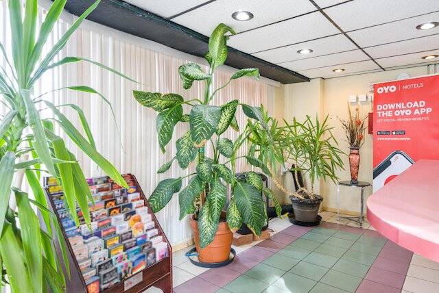 OYO オアシス モーテル ラスベガス I-15