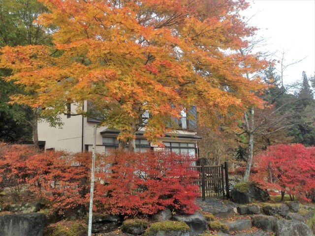 素泊まり民宿 緑庵