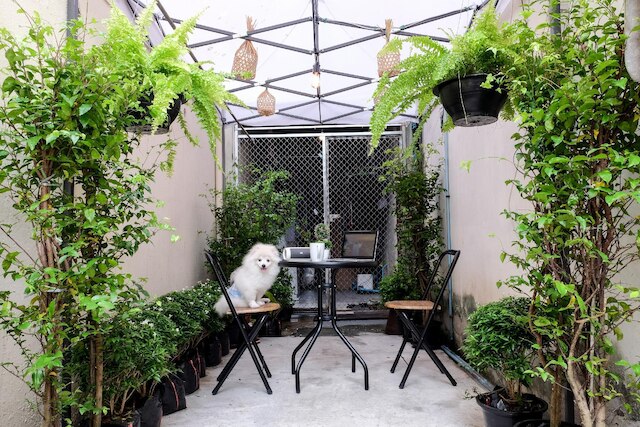 アセンブリー ホステル