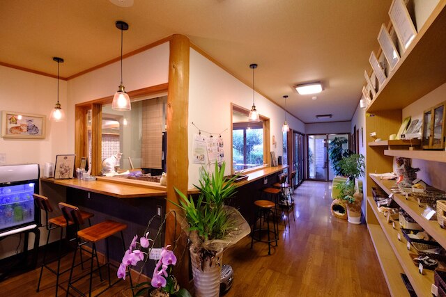 ゆふいん 笑ねこの宿