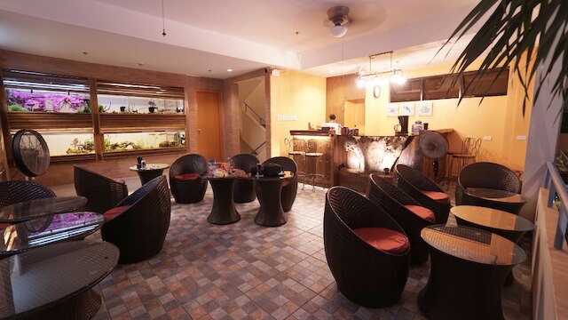 1775 アドリアティコ スイーツ