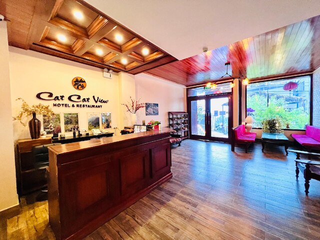 キャット キャット ビュー