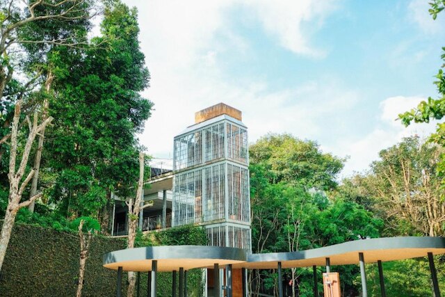 スティービー G