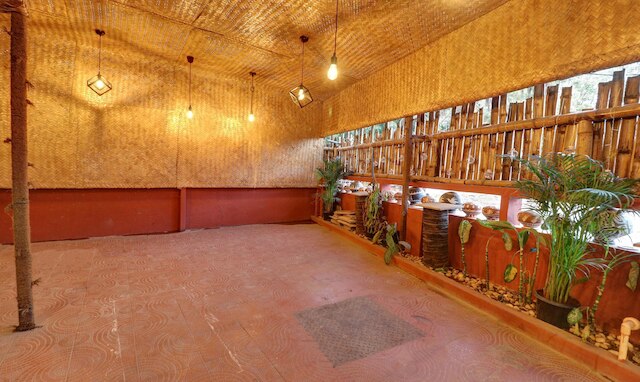 トリーボ ホワイトイン コラマンガラ