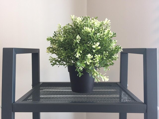 メモリー ジャーニー (一中住宿記憶旅程)