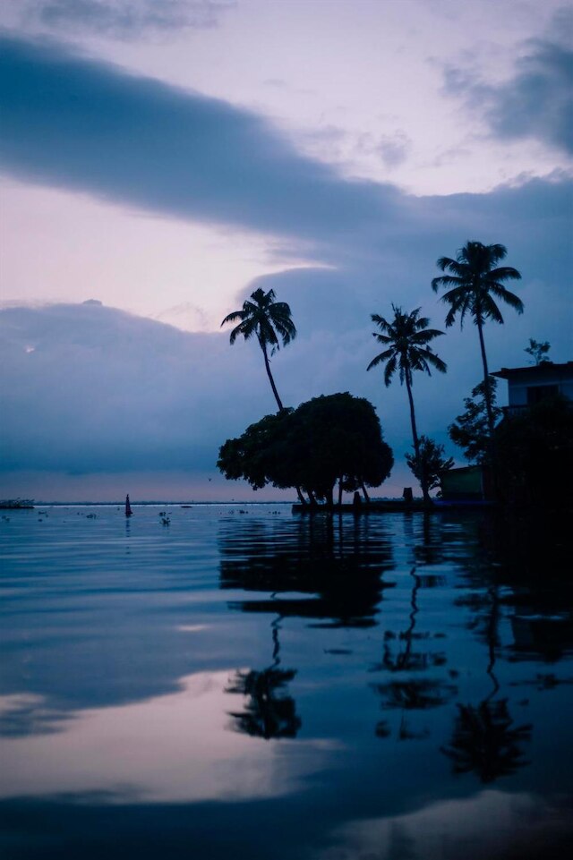 パームグローブ レイク リゾート